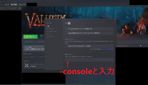 【Valheim】チートコード一覧！使い方解説！